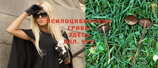 круглые Осинники