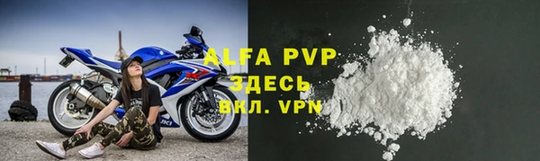 прущие грибы Усинск