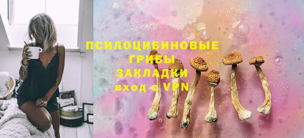 круглые Осинники