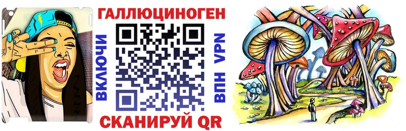 Псилоцибиновые грибы Psilocybine cubensis  Кола 