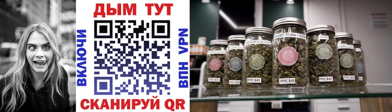 Каннабис индика  купить   hydra как зайти  Кола 